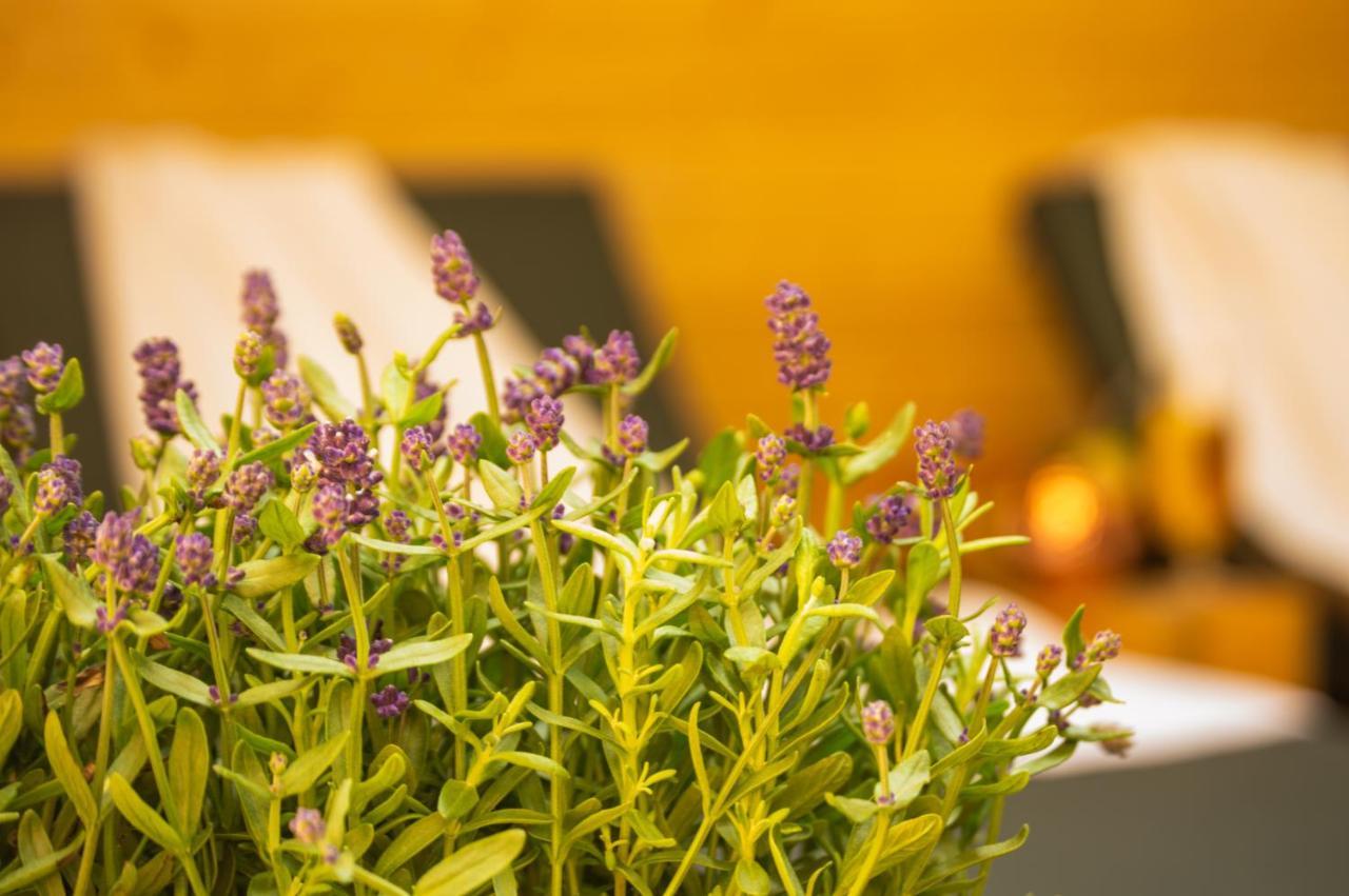 Wellnessoase Mitten In Triberg Triberg im Schwarzwald Bagian luar foto